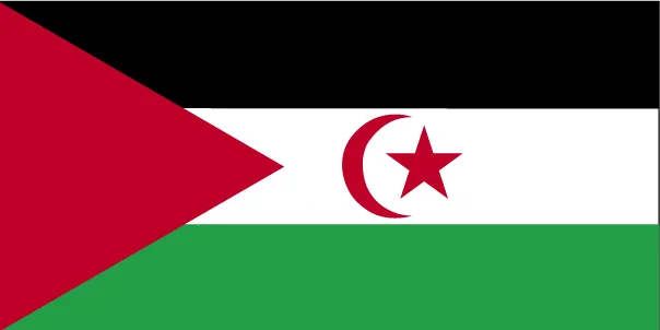 Flag of Western Sahara